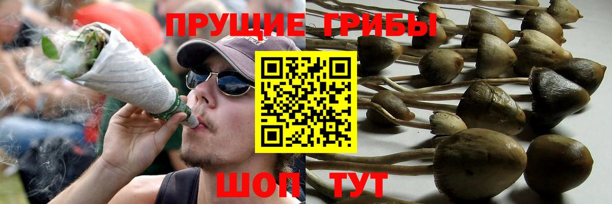 Галлюциногенные грибы Magic Shrooms  купить наркотики цена  Лабытнанги  Галлюциногенные грибы ЛСД  Вход с VPN 